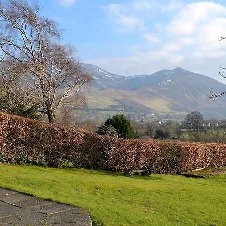 The Tottsie Bassenthwaite